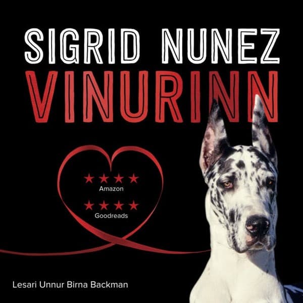 Vinurinn eftir Sigrid Nunez - hljóðbók
