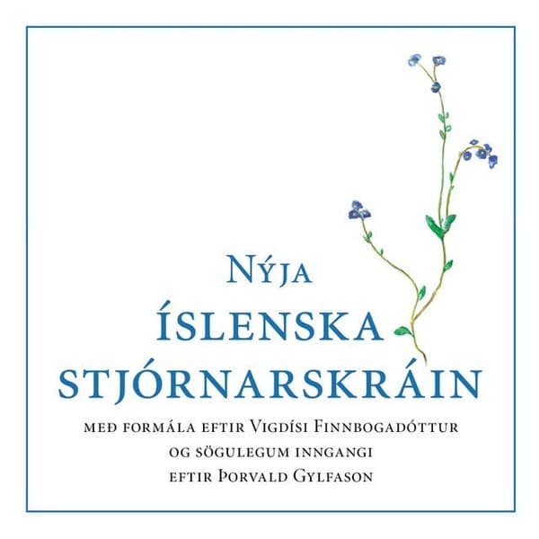 Nýja íslenska stjórnarskráin eftir Ýmsir - hljóðbók