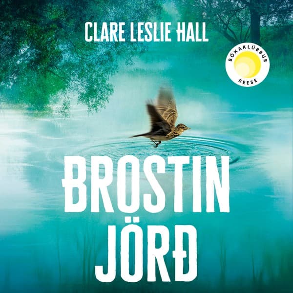 Brostin jörð eftir Clare Leslie Hall - hljóðbók