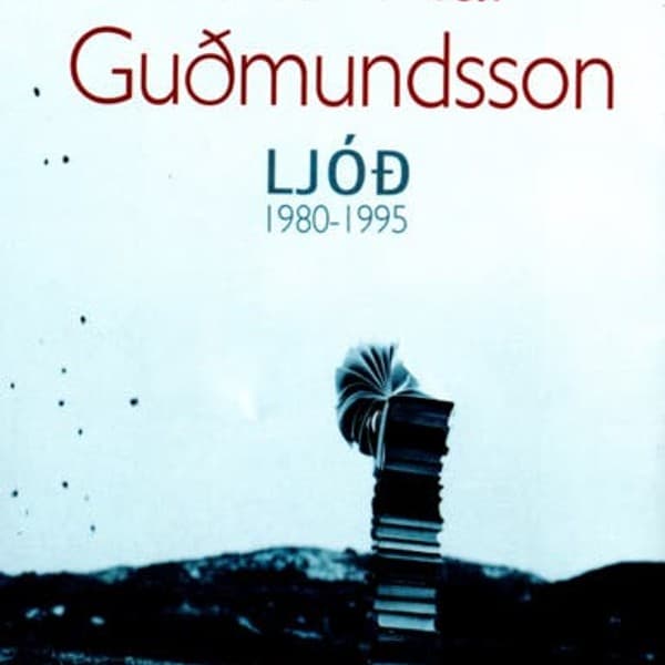 Ljóð 1980-1995 eftir Einar Már Guðmundsson - hljóðbók