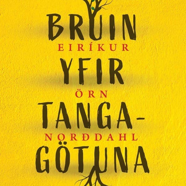 Brúin yfir Tangagötuna eftir Eiríkur Örn Norðdahl - hljóðbók