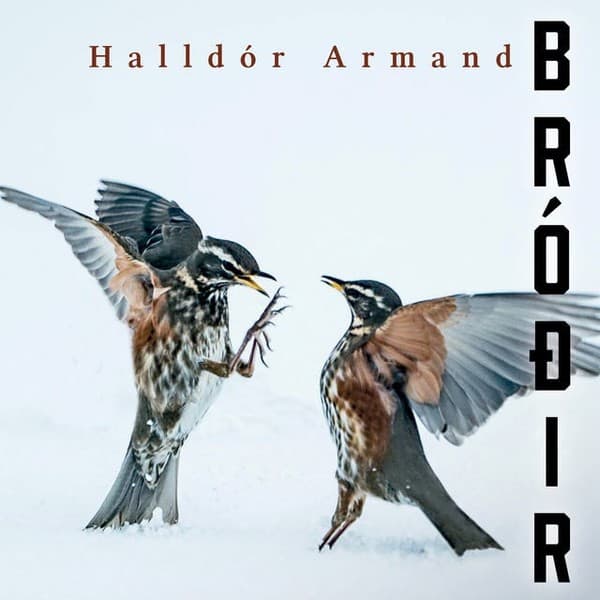 Bróðir eftir Halldór Armand - hljóðbók