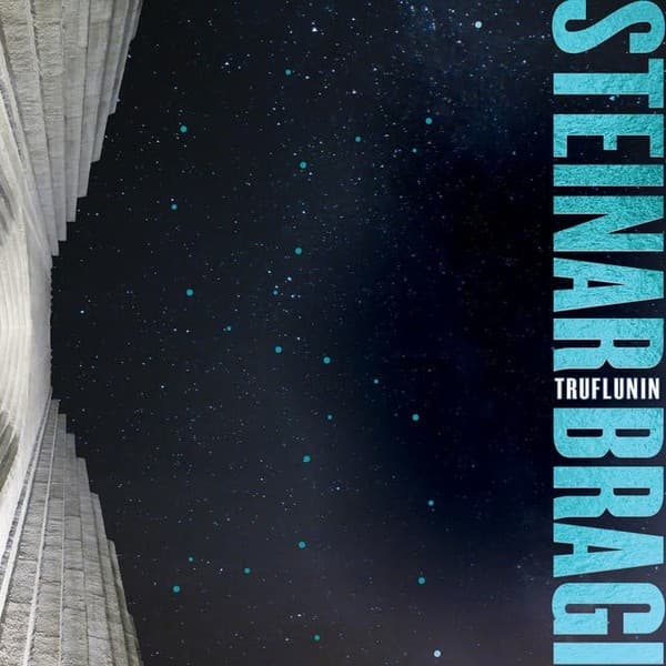 Truflunin eftir Steinar Bragi - hljóðbók