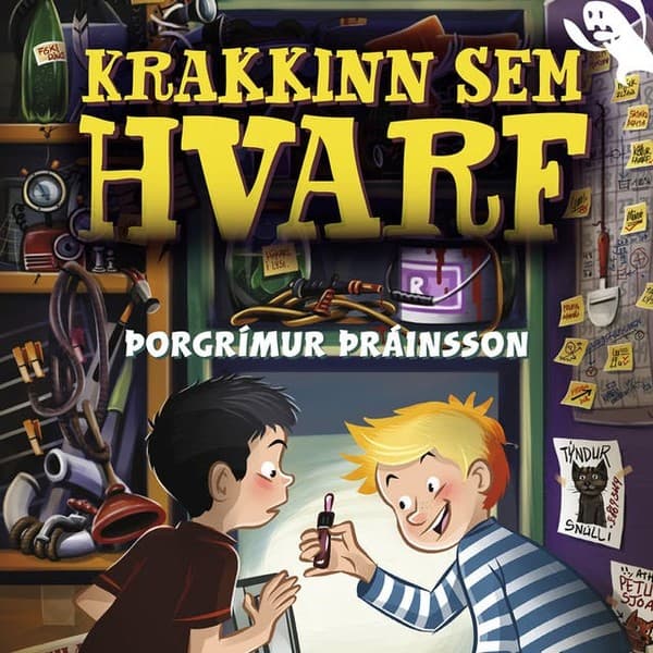 Krakkinn sem hvarf eftir Þorgrímur Þráinsson - hljóðbók