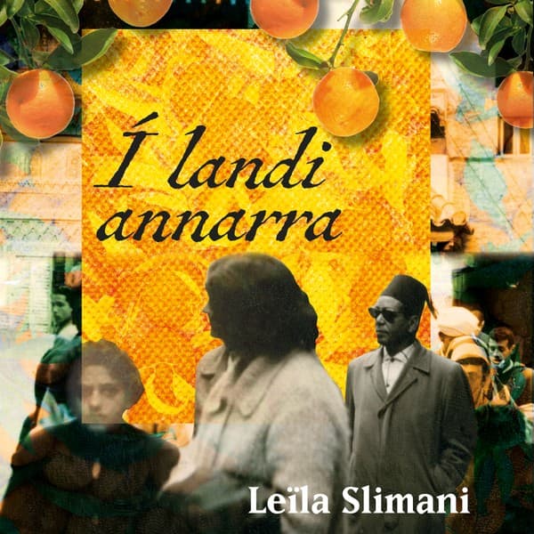 Í landi annarra eftir Leïla Slimani - hljóðbók