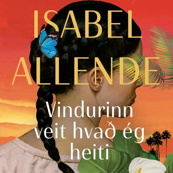 Vindurinn veit hvað ég heiti eftir Isabel Allende - hljóðbók
