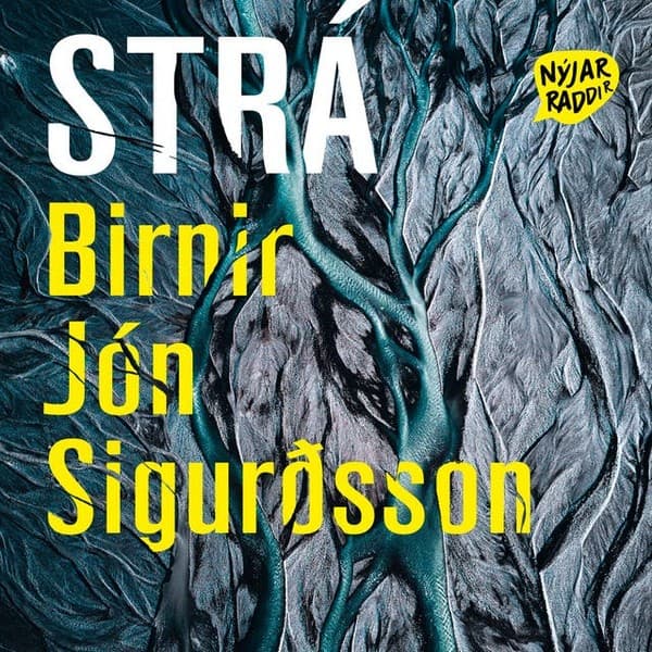 Strá eftir Birnir Jón Sigurðsson - hljóðbók