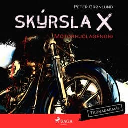 Skýrsla X – Mótorhjólagengið eftir Peter Grønlund - hljóðbók