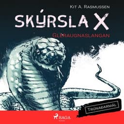 Skýrsla X – Gleraugnaslangan eftir Kit A. Rasmussen - hljóðbók