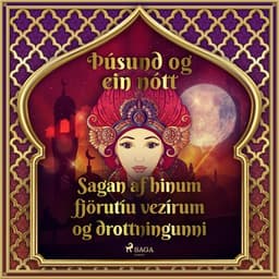 Sagan af hinum fjörutíu vezírum og drottningunni (Þúsund og ein nótt 9) eftir Middle Eastern Folk Tales - hljóðbók