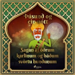 Sagan af öðrum karlinum og báðum svörtu hundunum (Þúsund og ein nótt 5) eftir Middle Eastern Folk Tales - hljóðbók