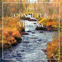 Göngutúr við ána eftir Rasmus Broe - hljóðbók