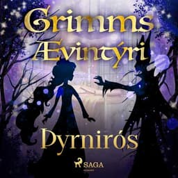 Þyrnirós eftir Grimmsbræður - hljóðbók