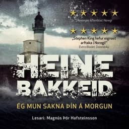Ég mun sakna þín á morgun eftir Heine Bakkeid - hljóðbók