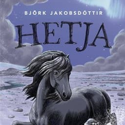 Hetja eftir Björk Jakobsdóttir - hljóðbók