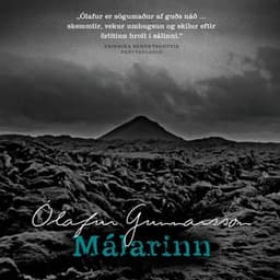 Málarinn eftir Ólafur Gunnarsson - hljóðbók
