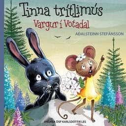 Tinna Trítlimús: Vargur í Votadal eftir Aðalsteinn Stefánsson - hljóðbók