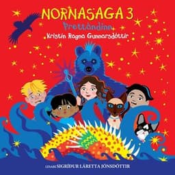 Nornasaga: Þrettándinn eftir Kristín Ragna Gunnarsdóttir - hljóðbók