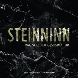Steinninn eftir Ragnheiður Gestsdóttir - hljóðbók