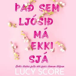 Það sem ljósið má ekki sjá eftir Lucy Score - hljóðbók