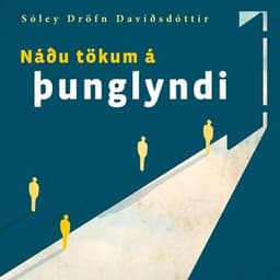 Náðu tökum á þunglyndi eftir Sóley Dröfn Davíðsdóttir - hljóðbók