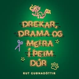 Drekar, drama og meira í þeim dúr eftir Rut Guðnadóttir - hljóðbók
