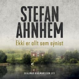 Ekki er allt sem sýnist eftir Stefan Ahnhem - hljóðbók