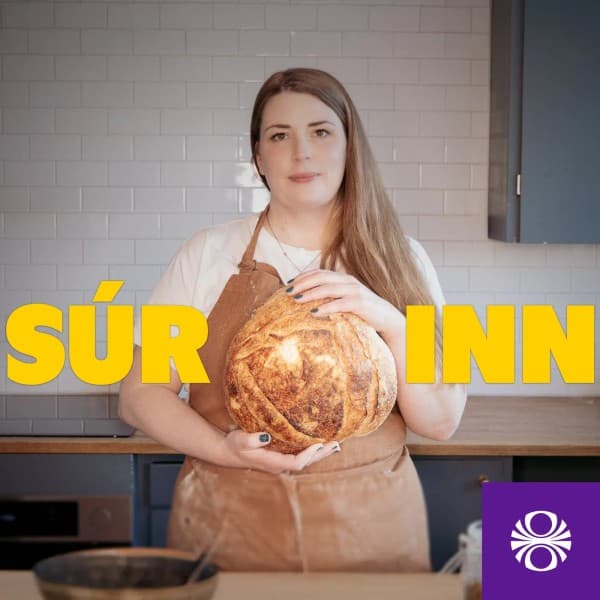 Súrinn eftir undefined - hljóðbók