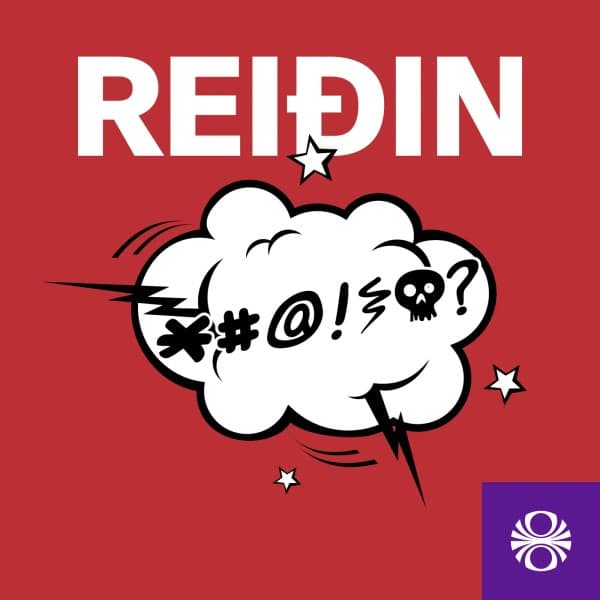 Reiðin eftir undefined - hljóðbók