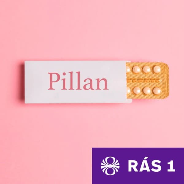 Pillan eftir undefined - hljóðbók