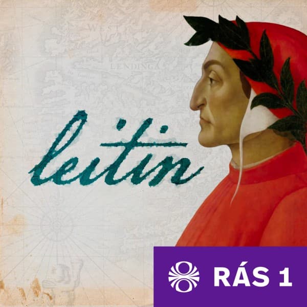 Leitin eftir undefined - hljóðbók