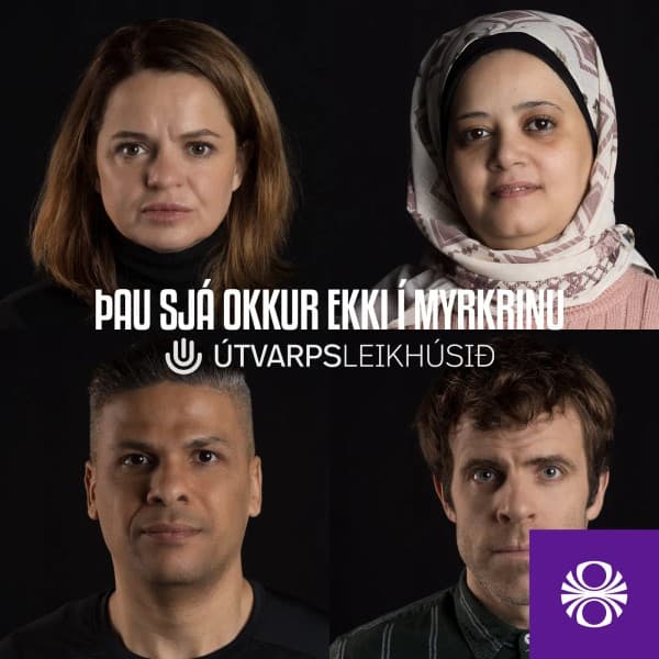 Þau sjá okkur ekki í myrkrinu eftir undefined - hljóðbók
