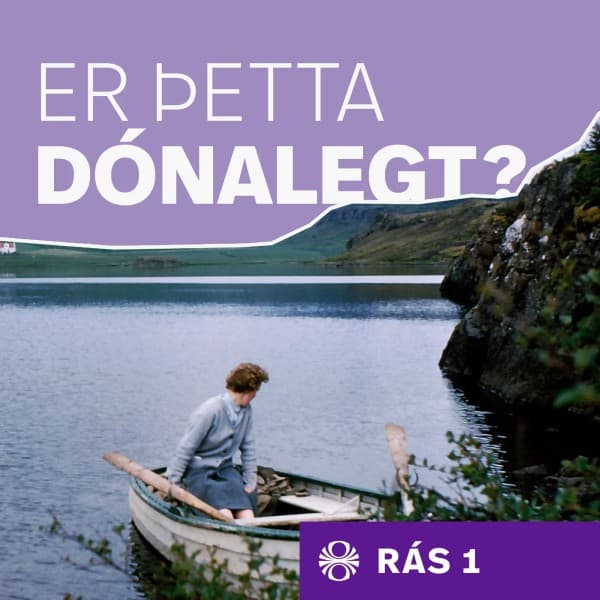 Er þetta dónalegt? eftir undefined - hljóðbók