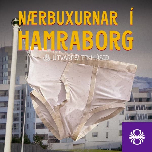 Nærbuxurnar í Hamraborg eftir undefined - hljóðbók