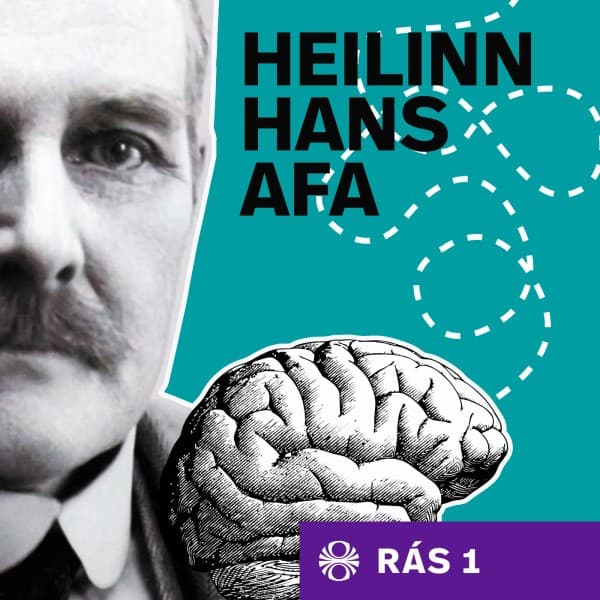 Heilinn hans afa eftir undefined - hljóðbók