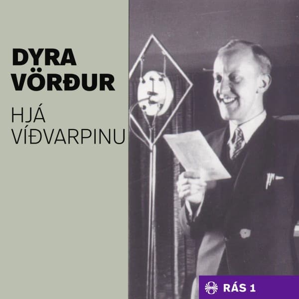 Dyravörður hjá víðvarpinu eftir undefined - hljóðbók