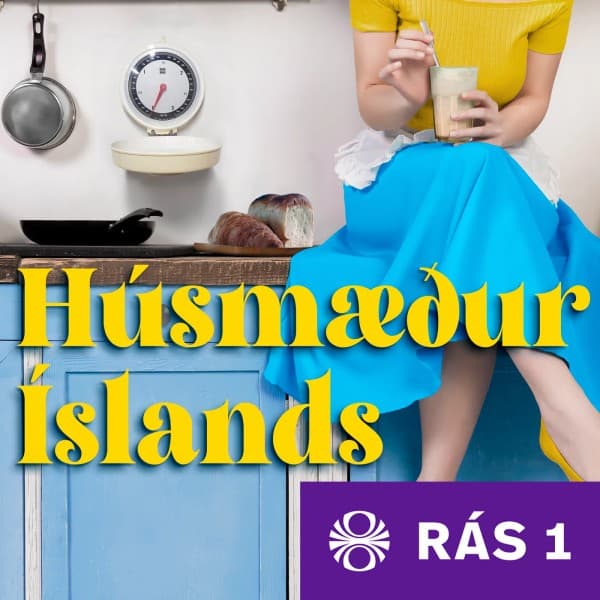 Húsmæður Íslands eftir undefined - hljóðbók