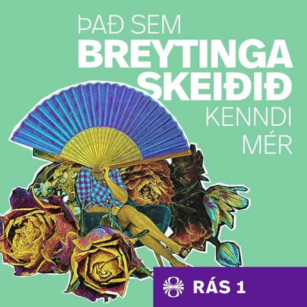 Það sem breytingaskeiðið kenndi mér eftir undefined - hljóðbók